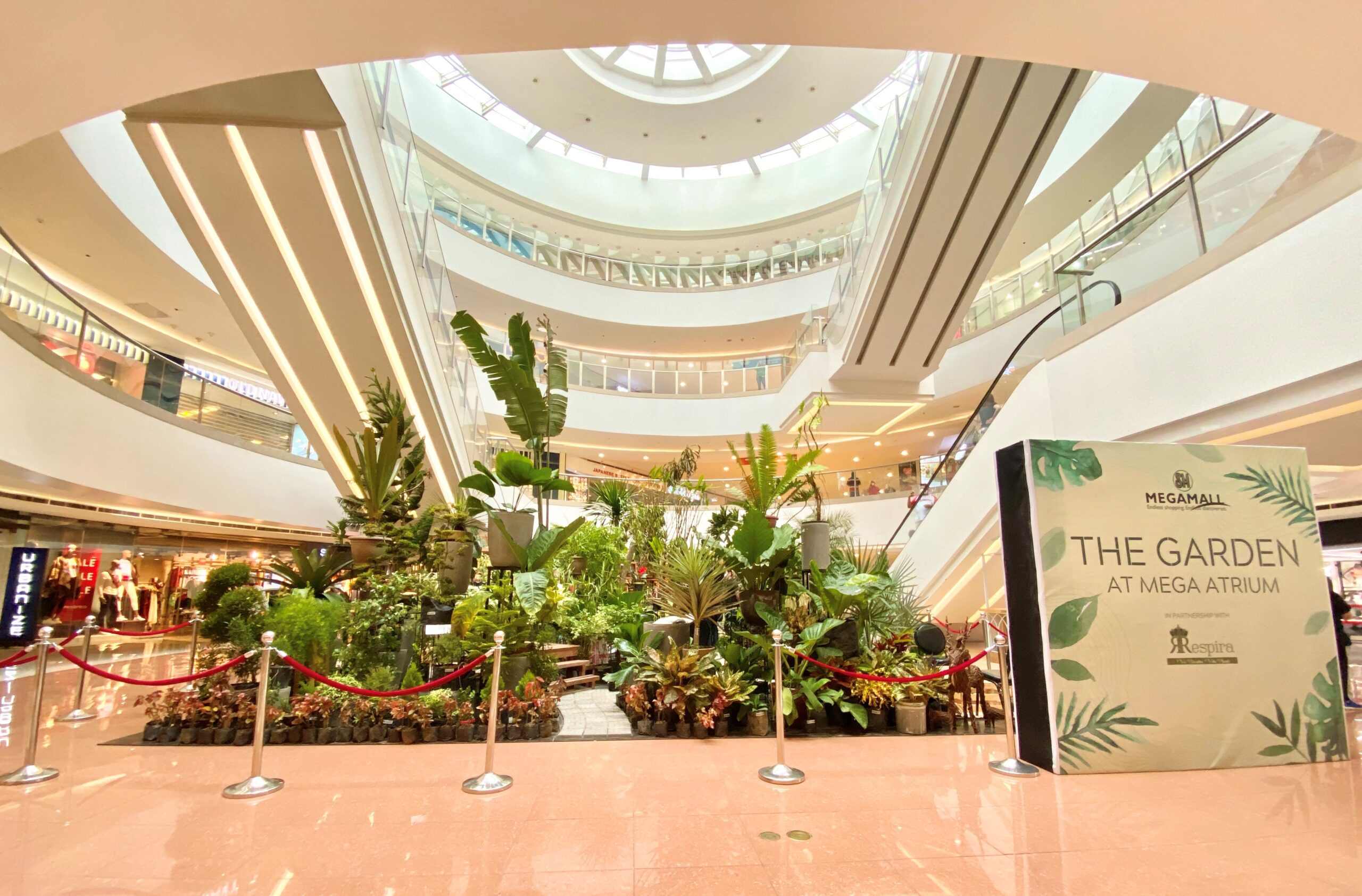 SM Megamall Puts Up an Indoor Botanical Garden (and My Plantita Heart is Happy)